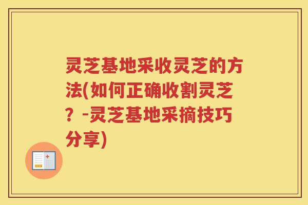 灵芝基地采收灵芝的方法(如何正确收割灵芝？-灵芝基地采摘技巧分享)