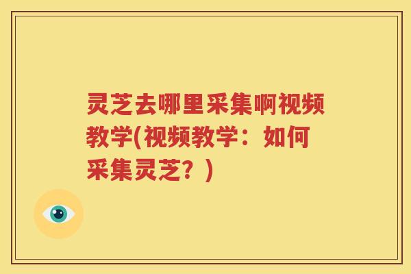 灵芝去哪里采集啊视频教学(视频教学:如何采集灵芝?) 灵芝去哪里采集啊视频教学(视频教学:如何采集灵芝?)