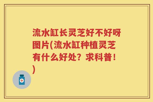 流水缸长灵芝好不好呀图片(流水缸种植灵芝有什么好处？求科普！)