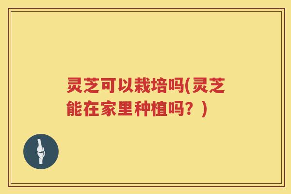 灵芝可以栽培吗(灵芝能在家里种植吗?) 灵芝可以栽培吗(灵芝能在家里种植吗?)