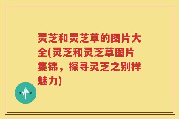灵芝和灵芝草的图片大全(灵芝和灵芝草图片集锦，探寻灵芝之别样魅力)