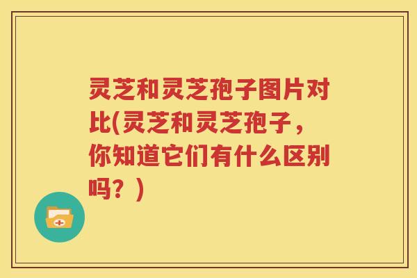 灵芝和灵芝孢子图片对比(灵芝和灵芝孢子，你知道它们有什么区别吗？)