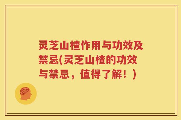 灵芝山楂作用与功效及禁忌(灵芝山楂的功效与禁忌，值得了解！)