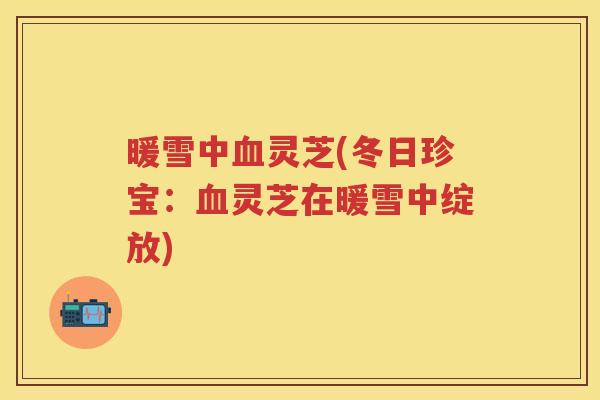 暖雪中灵芝(冬日珍宝：灵芝在暖雪中绽放)
