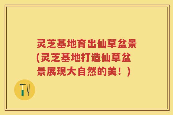 灵芝基地育出仙草盆景(灵芝基地打造仙草盆景展现大自然的美！)