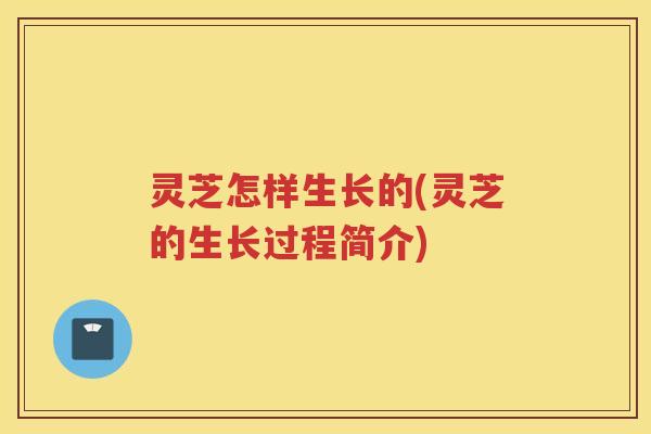 灵芝怎样生长的(灵芝的生长过程简介)
