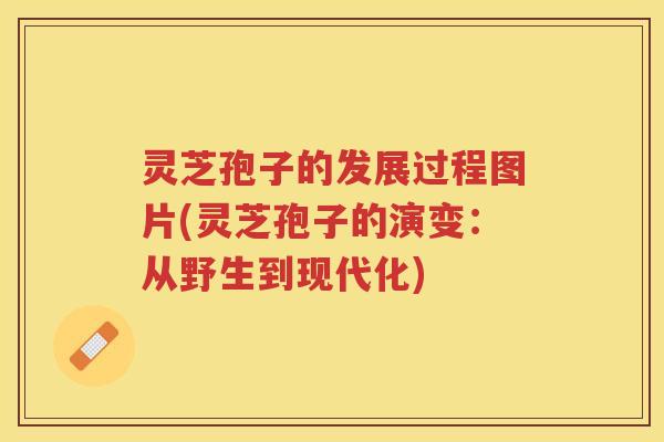灵芝孢子的发展过程图片(灵芝孢子的演变:从野生到现代化) 灵芝孢子的发展过程图片(灵芝孢子的演变:从野生到现代化)