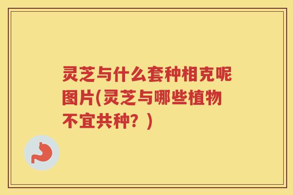灵芝与什么套种相克呢图片(灵芝与哪些植物不宜共种？)