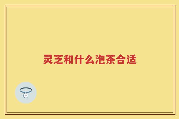 灵芝和什么泡茶合适