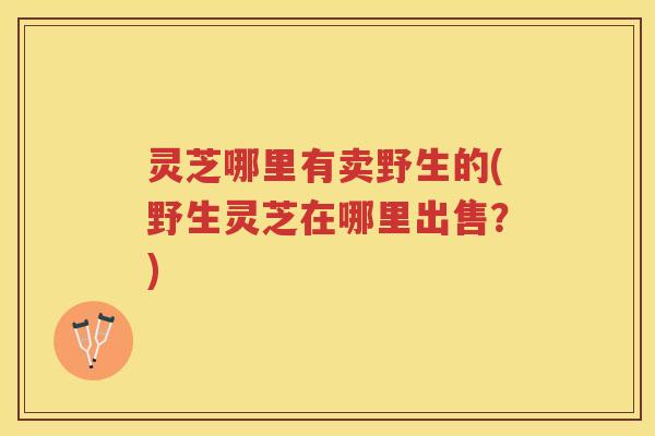 灵芝哪里有卖野生的(野生灵芝在哪里出售？)