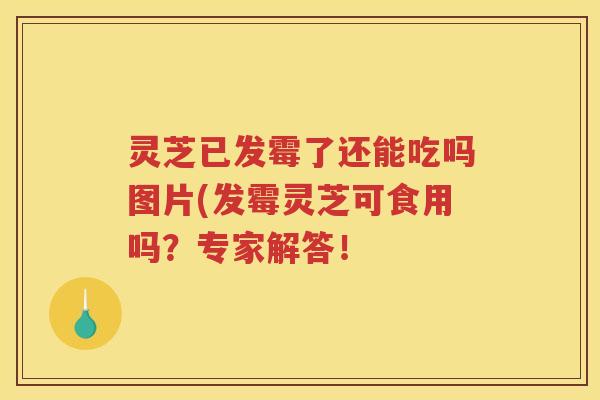灵芝已发霉了还能吃吗图片(发霉灵芝可食用吗?专家解答! 灵芝已发霉了还能吃吗图片(发霉灵芝可食用吗?专家解答!
