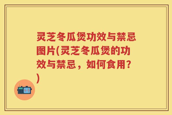 灵芝冬瓜煲功效与禁忌图片(灵芝冬瓜煲的功效与禁忌，如何食用？)