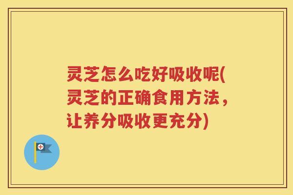 灵芝怎么吃好吸收呢(灵芝的正确食用方法，让养分吸收更充分)