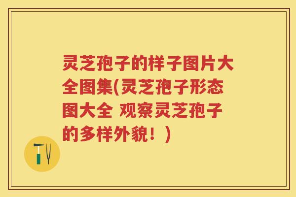灵芝孢子的样子图片大全图集(灵芝孢子形态图大全 观察灵芝孢子的多样外貌！)