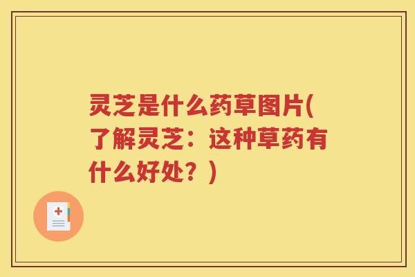 灵芝是什么药草图片(了解灵芝：这种草药有什么好处？)