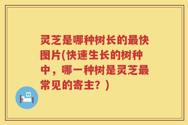 灵芝是哪种树长的快图片(快速生长的树种中，哪一种树是灵芝常见的寄主？)