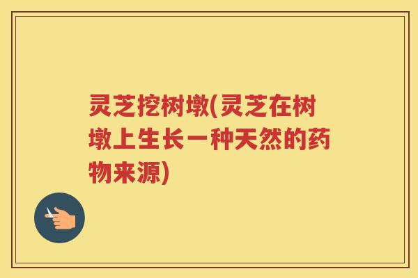 灵芝挖树墩(灵芝在树墩上生长一种天然的来源)