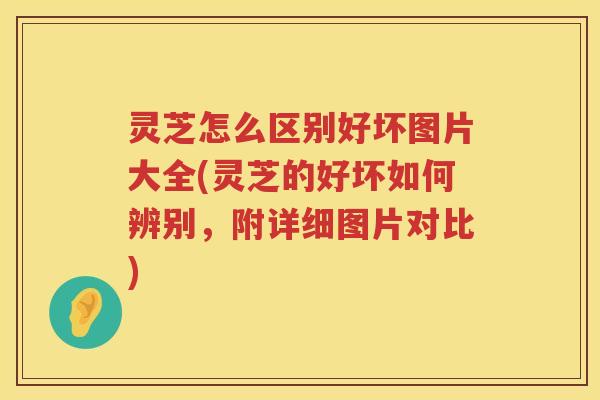 灵芝怎么区别好坏图片大全(灵芝的好坏如何辨别，附详细图片对比)