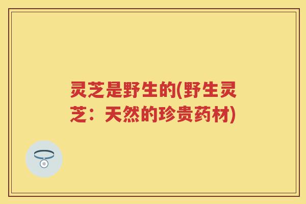 灵芝是野生的(野生灵芝：天然的珍贵药材)