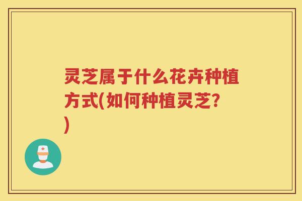 灵芝属于什么花卉种植方式(如何种植灵芝？)