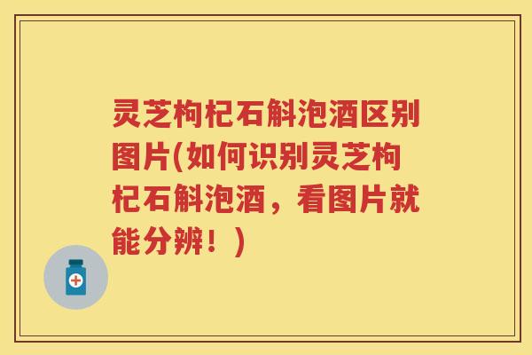 灵芝枸杞石斛泡酒区别图片(如何识别灵芝枸杞石斛泡酒，看图片就能分辨！)