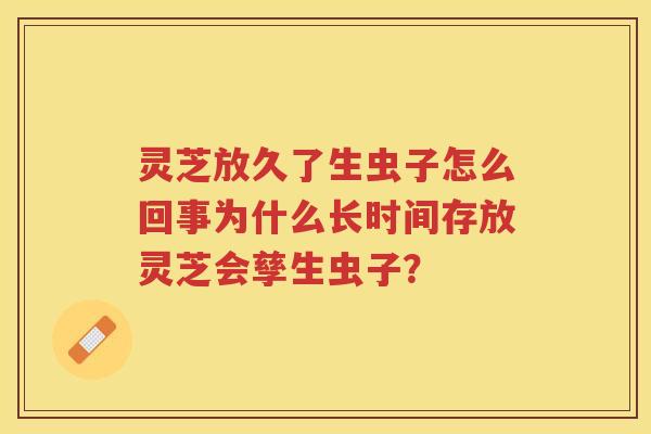 灵芝放久了生虫子怎么回事为什么长时间存放灵芝会孳生虫子？