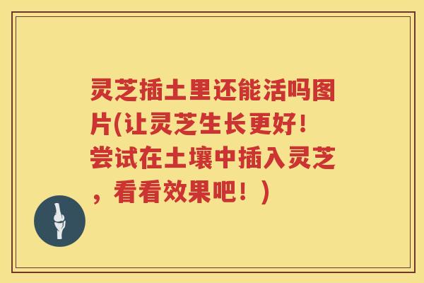 灵芝插土里还能活吗图片(让灵芝生长更好！尝试在土壤中插入灵芝，看看效果吧！)