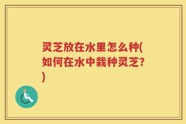 灵芝放在水里怎么种(如何在水中栽种灵芝？)