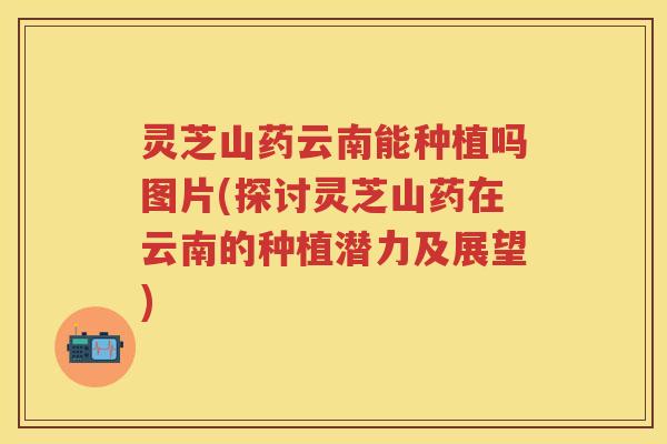 灵芝山药云南能种植吗图片(探讨灵芝山药在云南的种植潜力及展望) 灵芝山药云南能种植吗图片(探讨灵芝山药在云南的种植潜力及展望)
