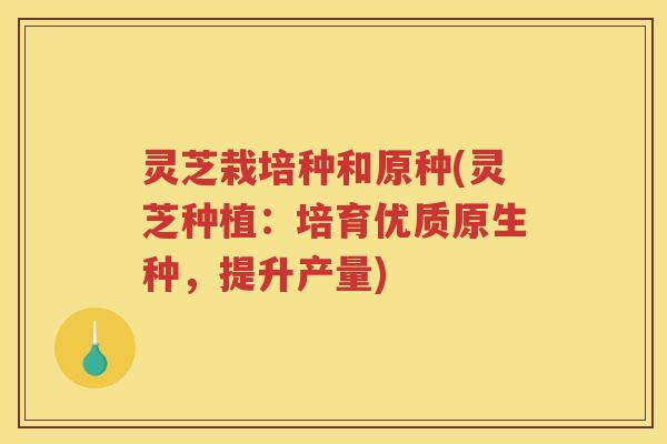 灵芝栽培种和原种(灵芝种植：培育优质原生种，提升产量)