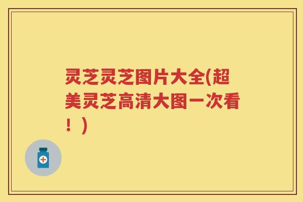 灵芝灵芝图片大全(超美灵芝高清大图一次看！)