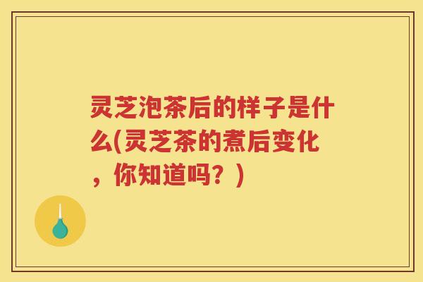 灵芝泡茶后的样子是什么(灵芝茶的煮后变化，你知道吗？)
