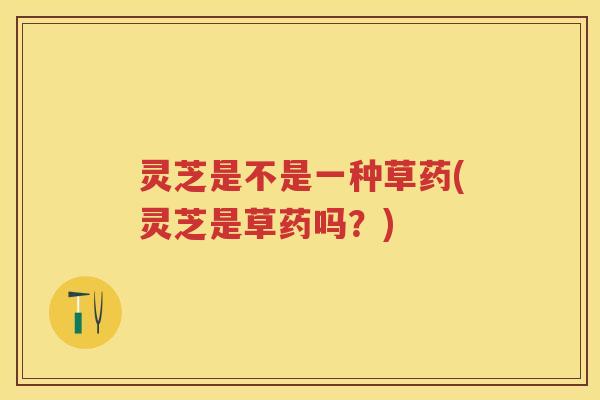 灵芝是不是一种草药(灵芝是草药吗？)