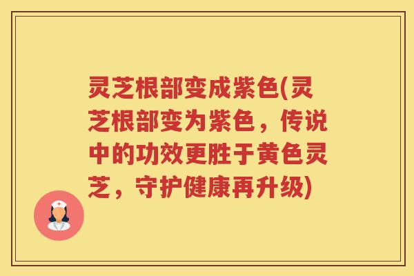 灵芝根部变成紫色(灵芝根部变为紫色，传说中的功效更胜于黄色灵芝，守护健康再升级)