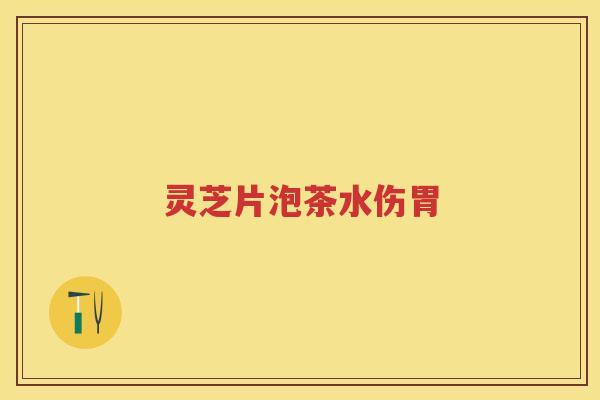 灵芝片泡茶水伤胃