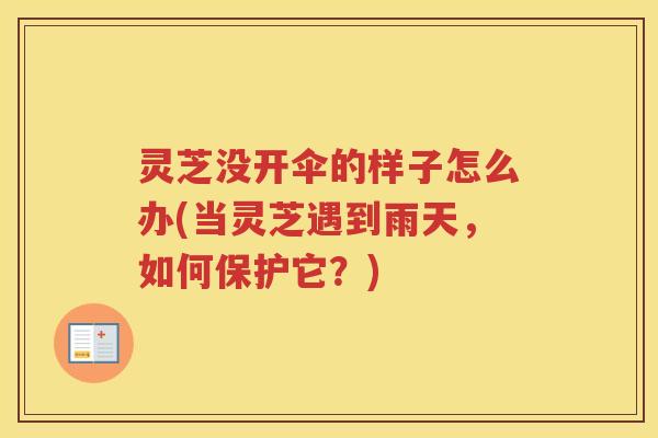 灵芝没开伞的样子怎么办(当灵芝遇到雨天，如何保护它？)