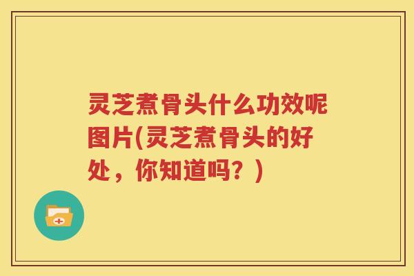 灵芝煮骨头什么功效呢图片(灵芝煮骨头的好处，你知道吗？)