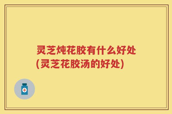 灵芝炖花胶有什么好处(灵芝花胶汤的好处)