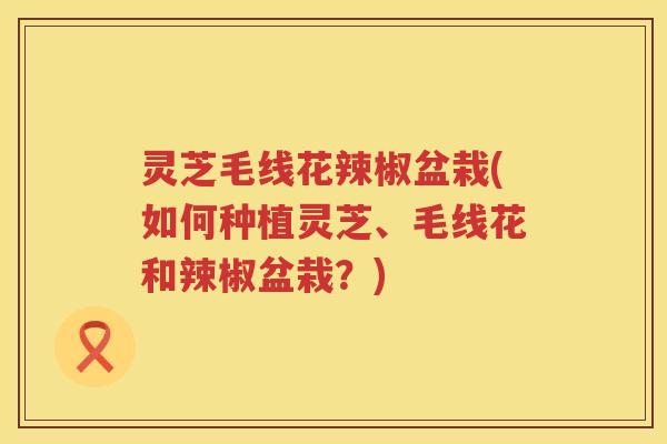 灵芝毛线花辣椒盆栽(如何种植灵芝、毛线花和辣椒盆栽？)