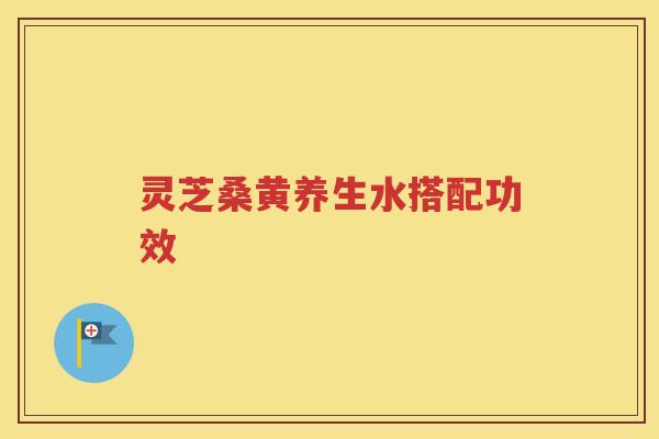 灵芝桑黄养生水搭配功效