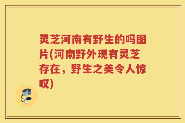 灵芝河南有野生的吗图片(河南野外现有灵芝存在，野生之美令人惊叹)