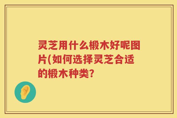 灵芝用什么椴木好呢图片(如何选择灵芝合适的椴木种类？