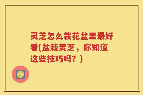 灵芝怎么栽花盆里最好看(盆栽灵芝，你知道这些技巧吗？)