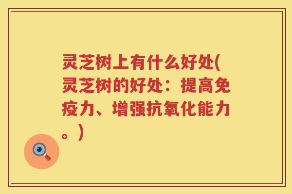 灵芝树上有什么好处(灵芝树的好处：提高免疫力、增强能力。)
