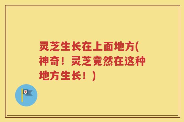灵芝生长在上面地方(神奇！灵芝竟然在这种地方生长！)