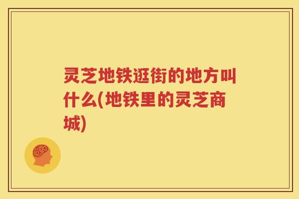 灵芝地铁逛街的地方叫什么(地铁里的灵芝商城)