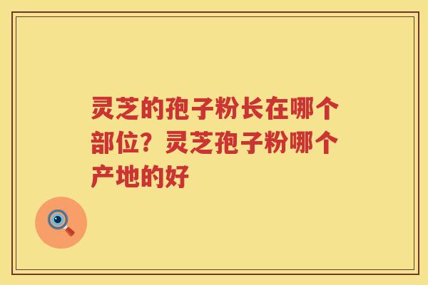 灵芝的孢子粉长在哪个部位？灵芝孢子粉哪个产地的好