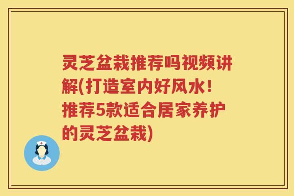 灵芝盆栽推荐吗视频讲解(打造室内好风水！推荐5款适合居家养护的灵芝盆栽)