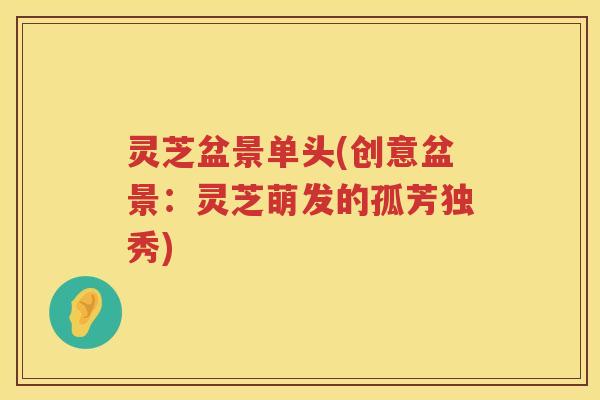 灵芝盆景单头(创意盆景：灵芝萌发的孤芳独秀)