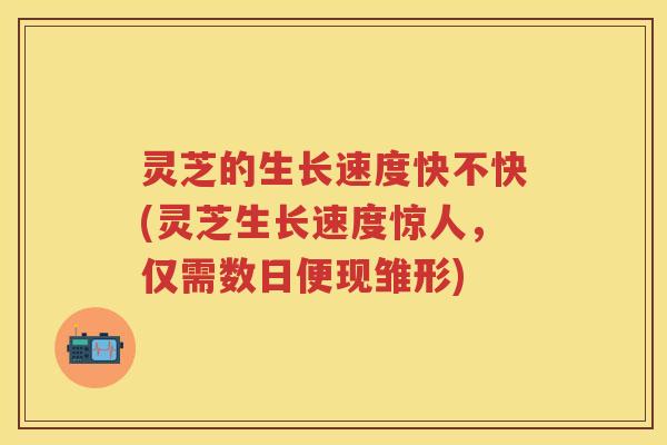 灵芝的生长速度快不快(灵芝生长速度惊人，仅需数日便现雏形)